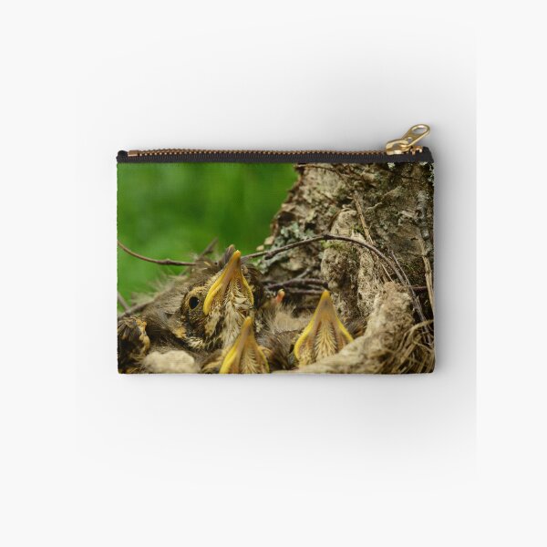 Item preview, nestlings bird in bright plumage sit quietly in a nest on a birch tree trunk designed and sold by yarvin13.