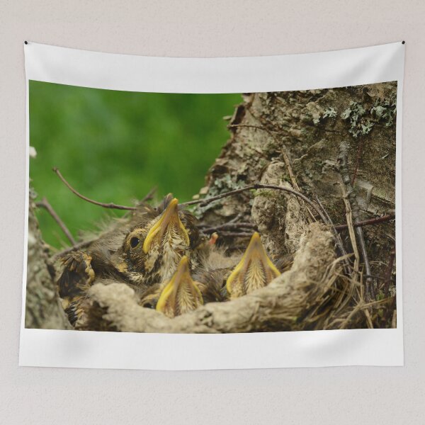 Item preview, nestlings bird in bright plumage sit quietly in a nest on a birch tree trunk designed and sold by yarvin13.