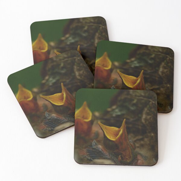 Item preview, young nestling birds in a nest in the wildlife scream with open yellow beaks designed and sold by yarvin13.