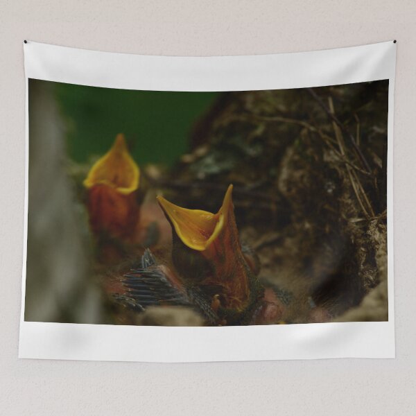 Item preview, young nestling birds in a nest in the wildlife scream with open yellow beaks designed and sold by yarvin13.