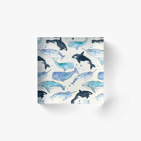 Whales, Orcas & Narwhals Acrylic Block