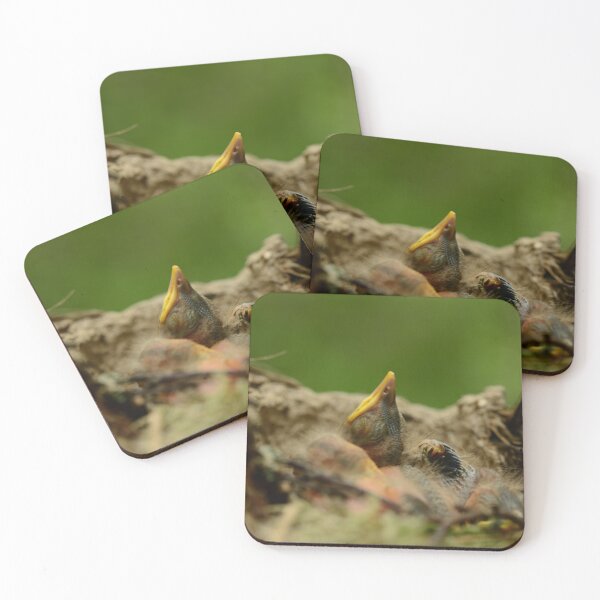 Item preview, young  baby birds  sleep quietly in the nest on a summer morning designed and sold by yarvin13.