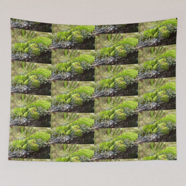 Item preview, A minature world on earth! designed and sold by Elaine Bawden.
