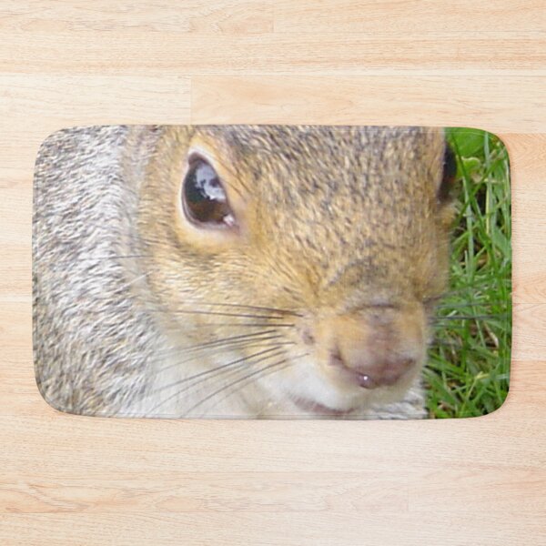 Item preview, Squirrels of Wimbledon 12 - in your face too designed and sold by ellenhenry.