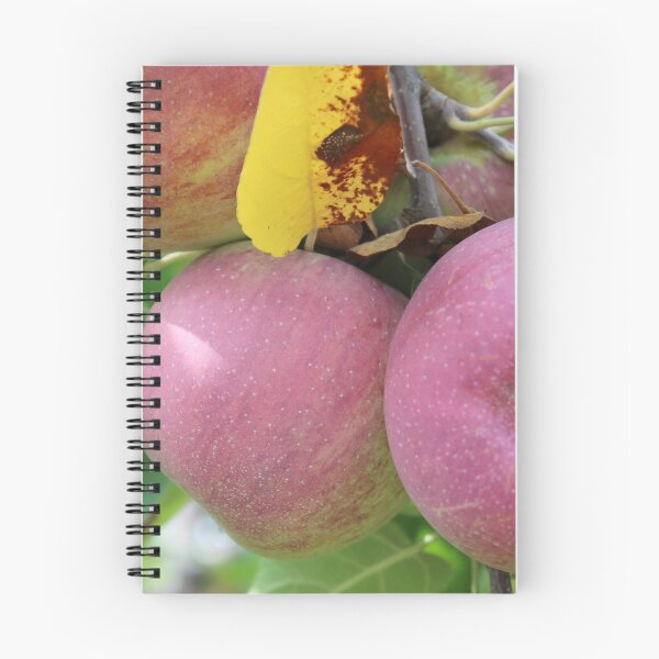 Item preview, Red Apples designed and sold by Susie Kramer.