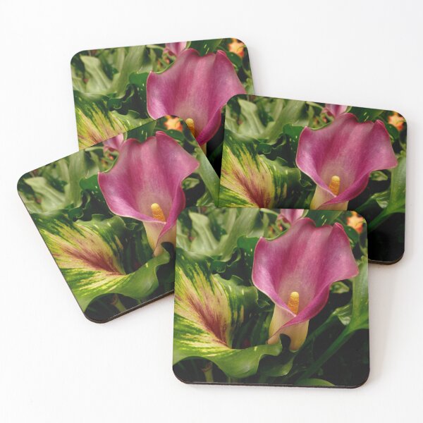 Item preview, Calla Lilies designed and sold by Elaine Bawden.
