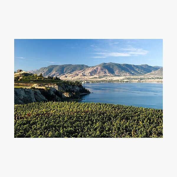 Okanagan Valley Winery Vineyard Landscape Photographic Print
