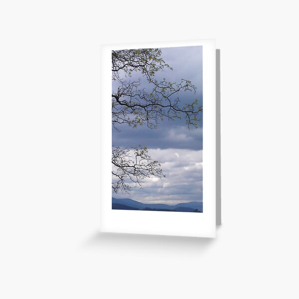 Item preview, while I was working ..... designed and sold by diazy05.