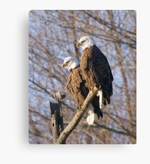 "National Treasure" Canvas Print