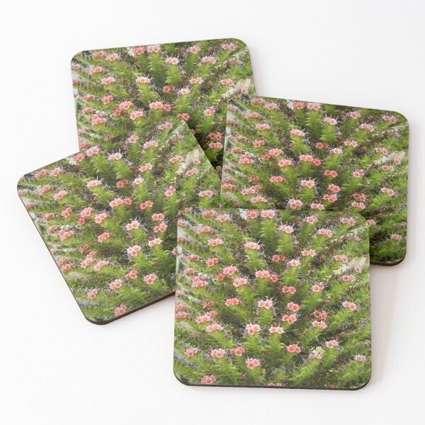 Item preview, Cactus flowers designed and sold by StudioCorvid.