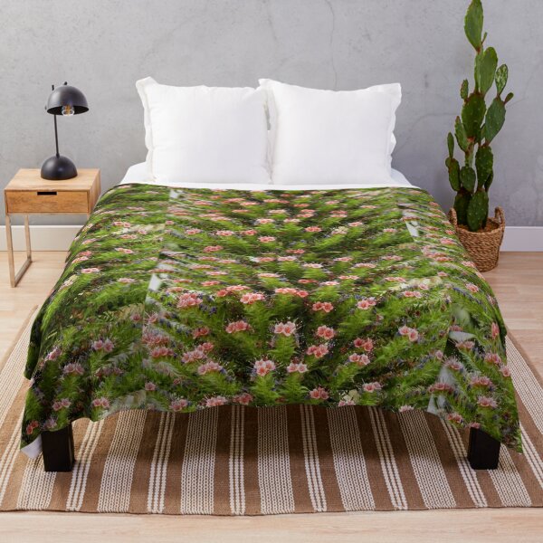 Item preview, Cactus flowers designed and sold by StudioCorvid.