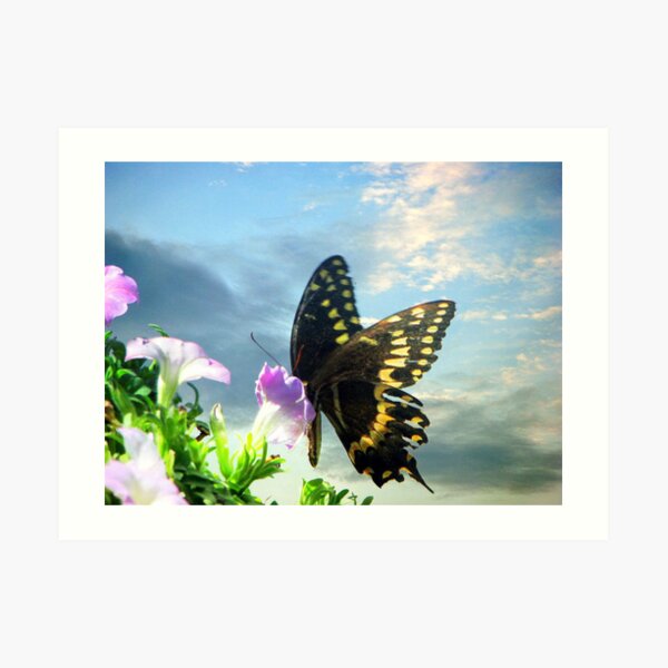Butterfly in the Sky Art Print