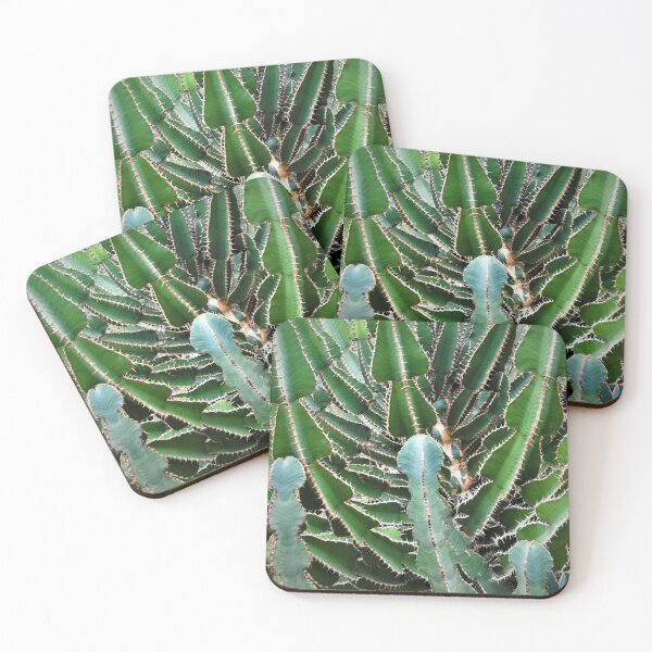 Item preview, Cactus designed and sold by StudioCorvid.