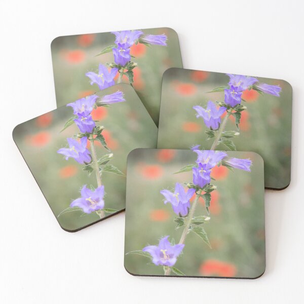 Item preview, Campanula trachelium designed and sold by JEZ22.