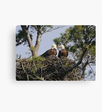 The Two Of Us Canvas Print
