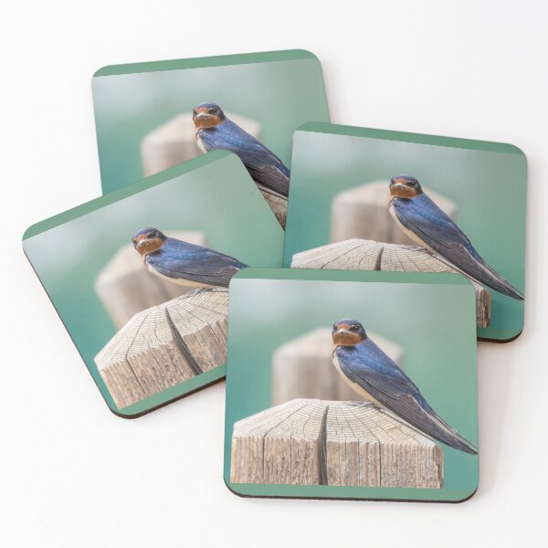 Item preview, A beautiful bluebird designed and sold by Frits Klijn (klijnfoto.nl).