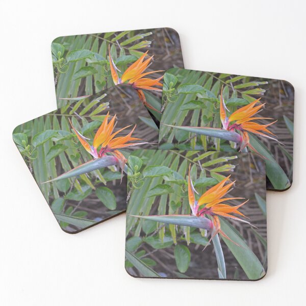 Item preview, Bird of Paradise  designed and sold by Margaret Shark.