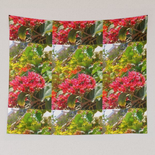Item preview, CLERODENDRUM SPECIOSISSIMUM designed and sold by Red bubble Artist.