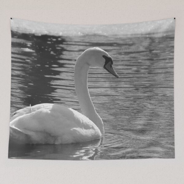 Item preview, Black and White Swan Horizontal designed and sold by Susie Kramer.
