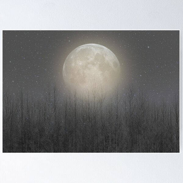 Item preview, The Moon Shines Bright (Birch Moon II) designed and sold by soaringanchor.