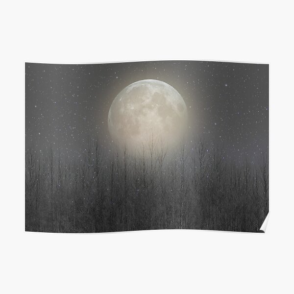 The Moon Shines Bright (Birch Moon II) Poster