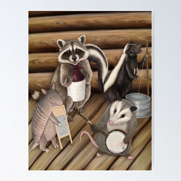 Opossum Wall Art for Sale