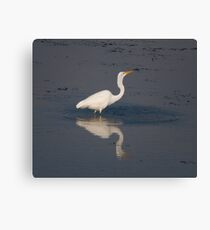 Great Egret Canvas Print
