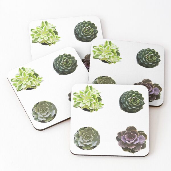 Item preview, four succulents designed and sold by vkdavidson.