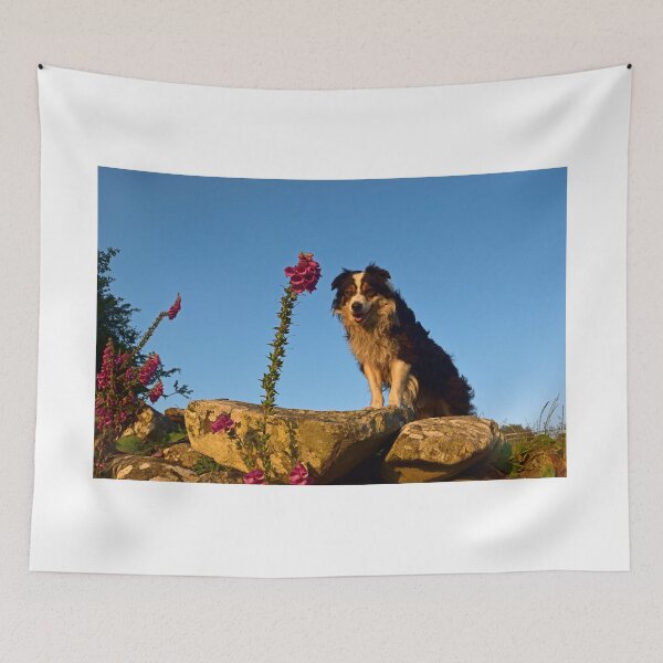 Item preview, Once in a While... designed and sold by Michael Haslam.
