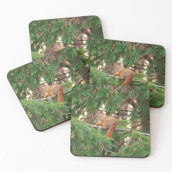 Item preview, Squirrel Eating His Evening Meal designed and sold by Nora Caswell.