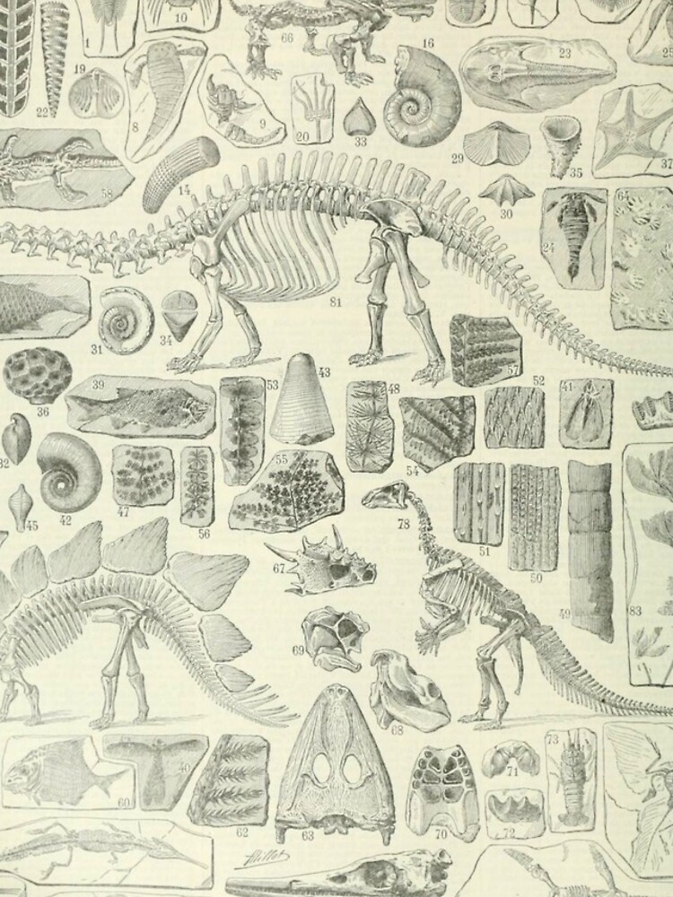 Thumbnail 4 of 4, iPhone Case, Fossil Chart designed and sold by bluespecsstudio.