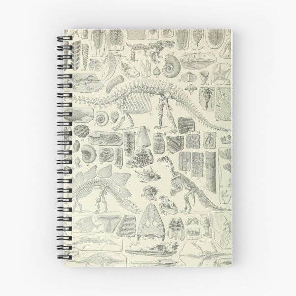 Item preview, Fossil Chart designed and sold by BlueSpecsStudio.