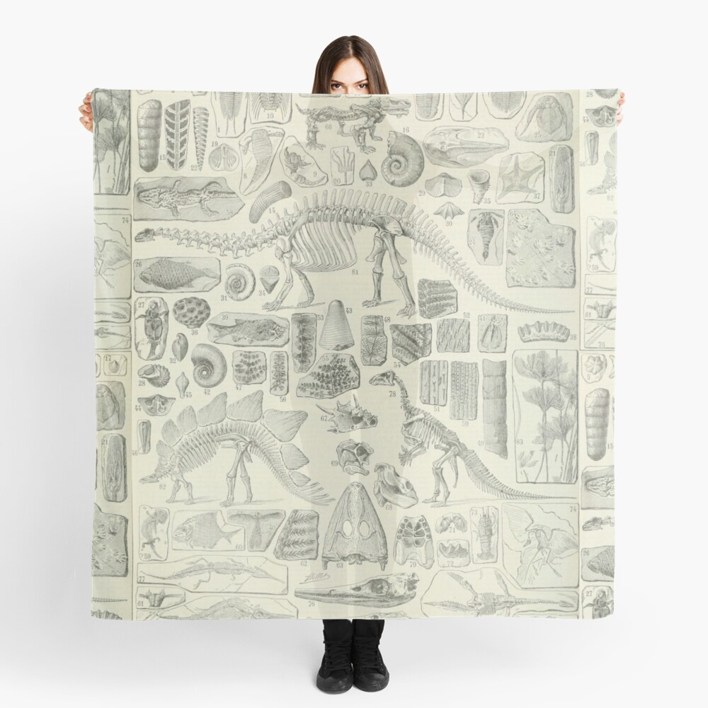 Fossil Chart Scarf