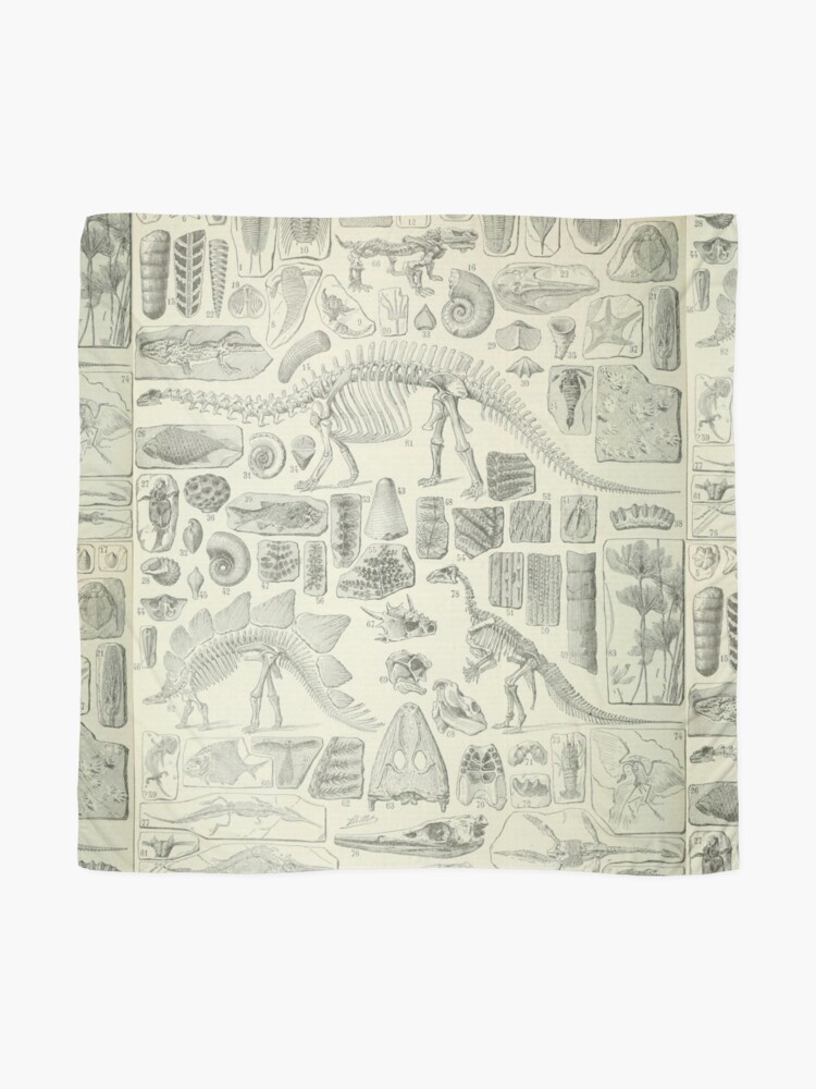 Alternate view of Fossil Chart Scarf