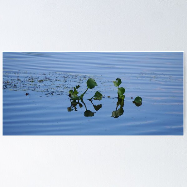 Artikelvorschau, Drift Away... entworfen und verkauft von Alison M.
