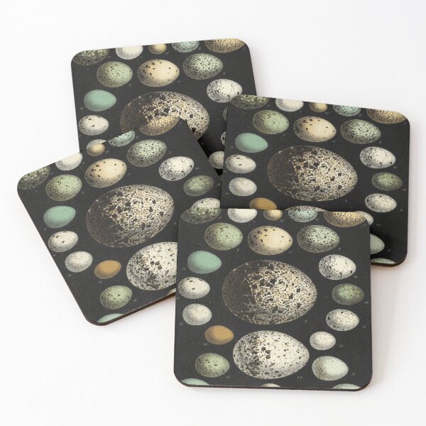 Item preview, Naturalist Eggs designed and sold by BlueSpecsStudio.