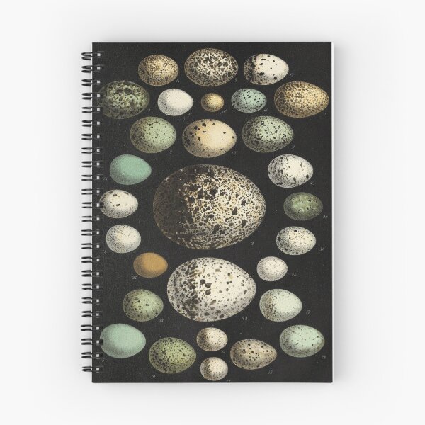 Item preview, Naturalist Eggs designed and sold by BlueSpecsStudio.