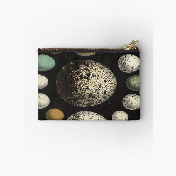 Item preview, Naturalist Eggs designed and sold by BlueSpecsStudio.