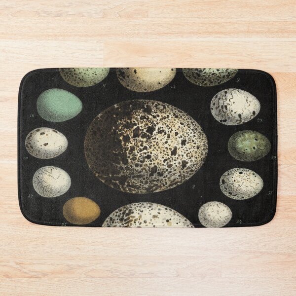 Item preview, Naturalist Eggs designed and sold by BlueSpecsStudio.