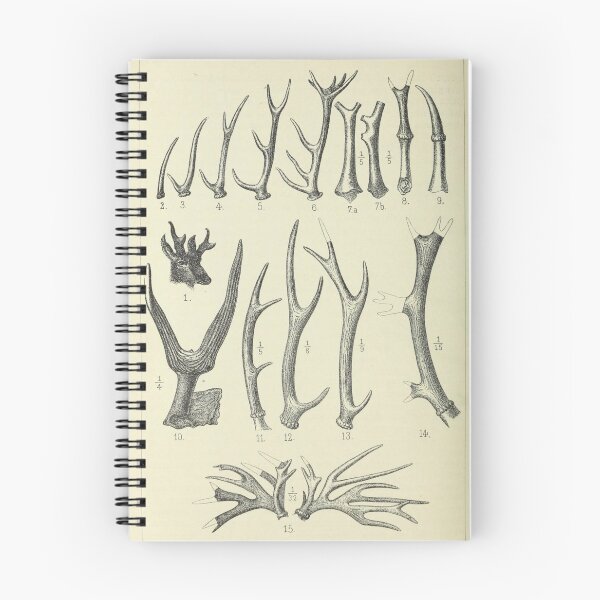 Item preview, Vintage Antlers designed and sold by BlueSpecsStudio.