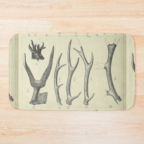 Item preview, Vintage Antlers designed and sold by BlueSpecsStudio.