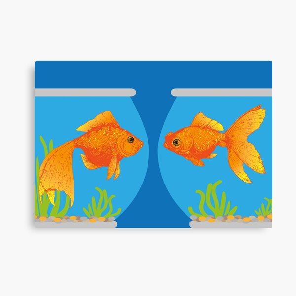 Two Little Goldfish in their Fish Bowls | Vintage Goldfish | Canvas Print
