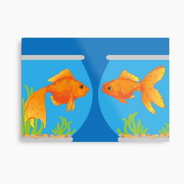 Two Little Goldfish in their Fish Bowls | Vintage Goldfish | Metal Print