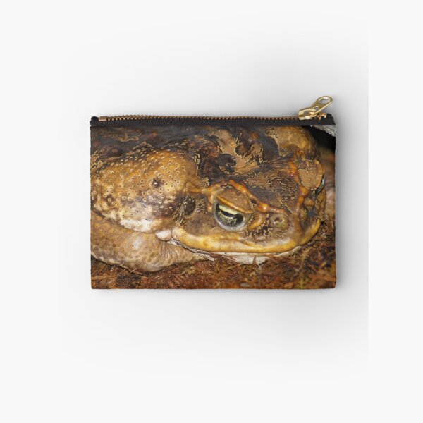 Item preview, Cane Toad designed and sold by Lorelle Gromus.