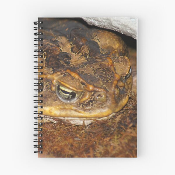 Item preview, Cane Toad designed and sold by Lorelle Gromus.