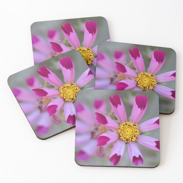 Item preview, Daisy Type designed and sold by Chet  King.