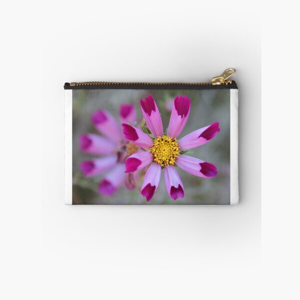 Item preview, Daisy Type designed and sold by Chet  King.