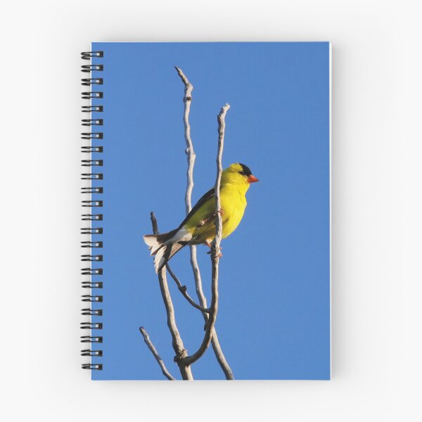 Item preview, American Goldfinch designed and sold by Alyce Taylor.