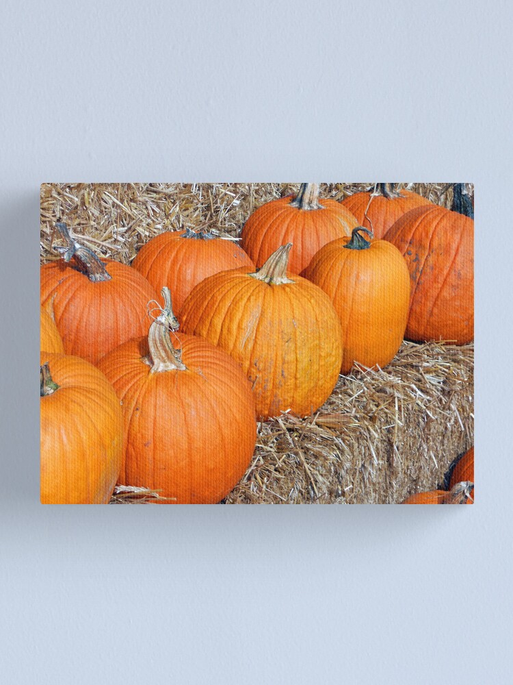 Alternate view of Pumpkin Parade Canvas Print