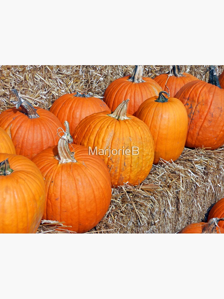 Pumpkin Parade by MarjorieB